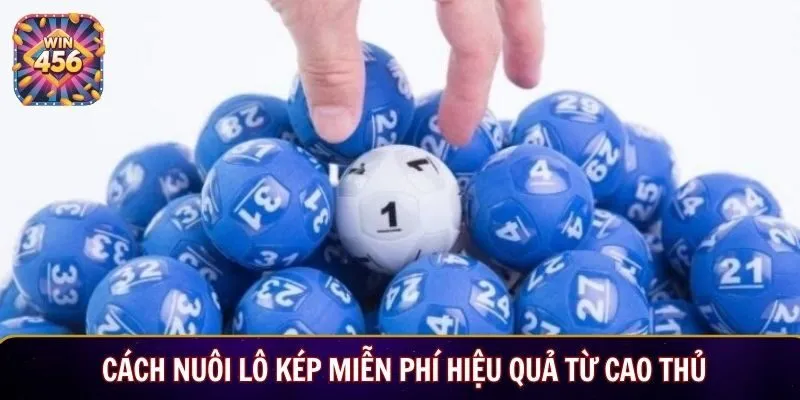 Cách Nuôi lô kép miễn phí hiệu quả từ cao thủ