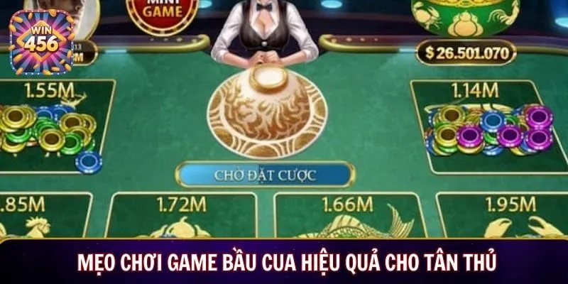 Mẹo chơi game bầu cua hiệu quả cho tân thủ
